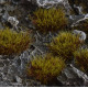 Gamers Grass: Grass tufts - 8 mm - Swamp XL (Wild)