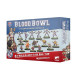 Old World Alliance Blood Bowl Team - The Middenheim Maulers