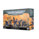 Space Marines Desolation Squad