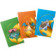 Ultra-Pro: Pokémon - Tournament Folios - Series 1 - Charizard, Blastoise, Venusaur