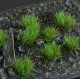 Gamers Grass: Grass tufts - 6 mm - Strong Green (Wild)
