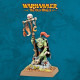 Warhammer: The Old World - Goblin Shaman