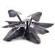 Gamers Grass: Laser Plants - Black Magic Taro - Kolokazja Black Magic