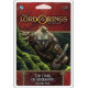 Lord of the Rings: The Card Game The Dark of Mirkwood Scenario Pack - EN