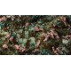 Gamers Grass: Cherry Blossom Flowers