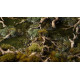 Gamers Grass: Basing Bits - Gnarled Branches